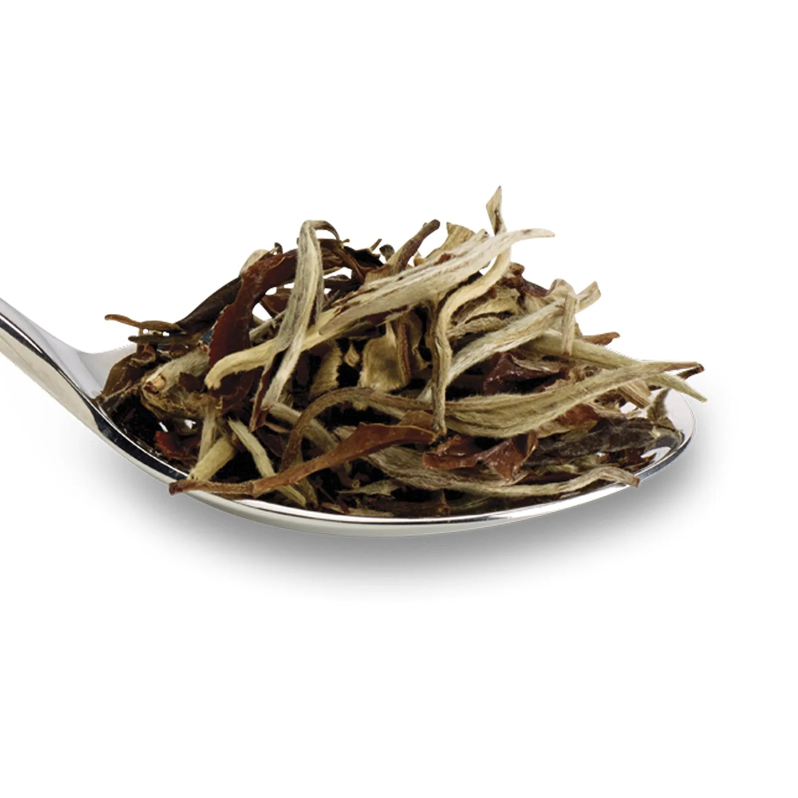 China White - 50g Loose Leaf Tea