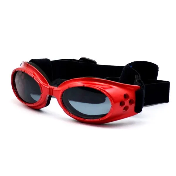 Olive Dog Goggles